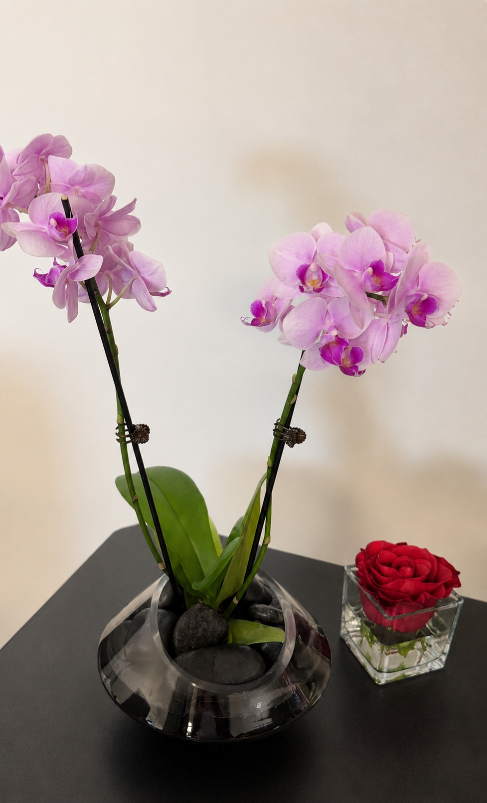 Pink orchid display with a red rose accent