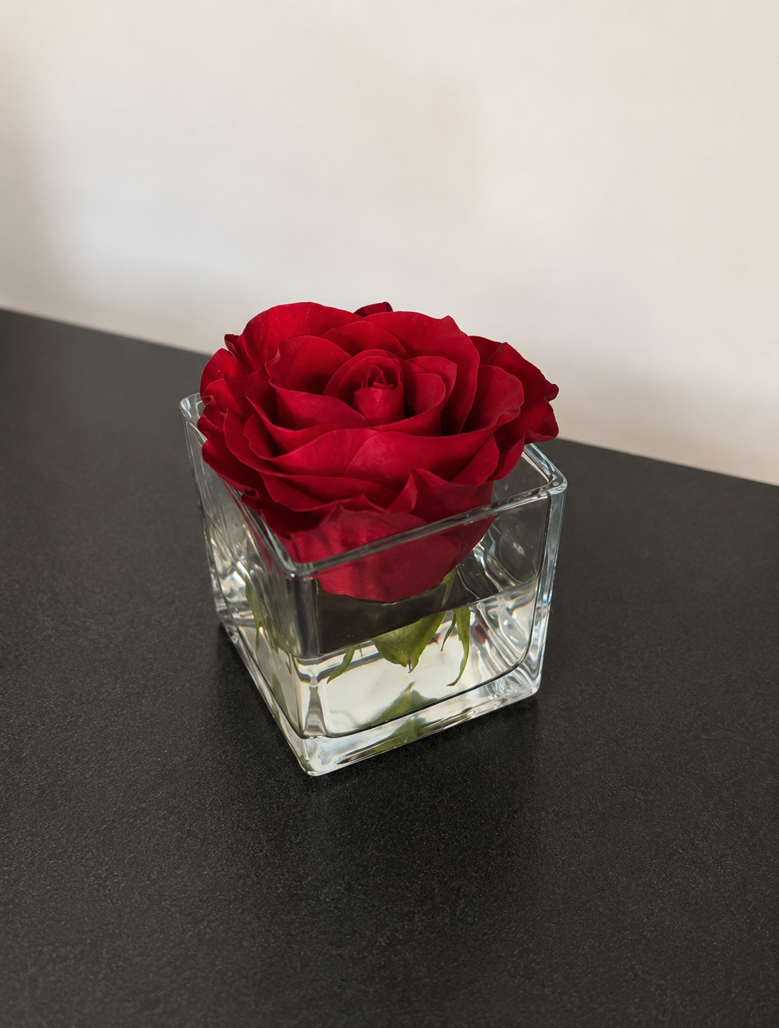 Single red rose displayed in a square glass vase